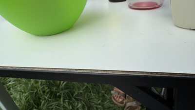 IMG 8435